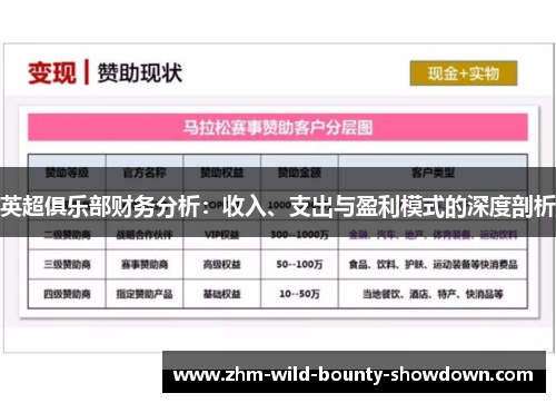 英超俱乐部财务分析：收入、支出与盈利模式的深度剖析