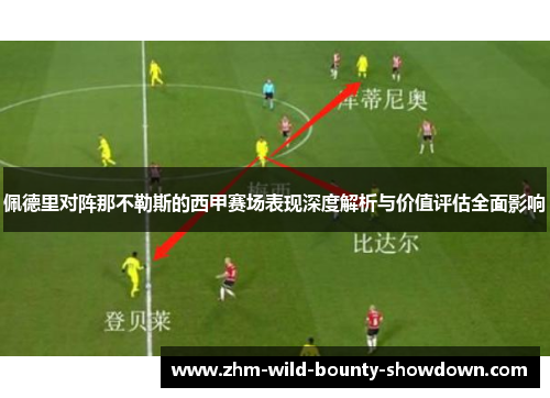 佩德里对阵那不勒斯的西甲赛场表现深度解析与价值评估全面影响