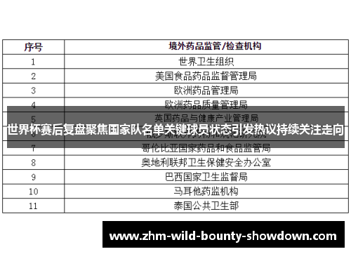 世界杯赛后复盘聚焦国家队名单关键球员状态引发热议持续关注走向 世界杯赛后复盘聚焦国家队名单关键球员状态引发热议持续关注走向